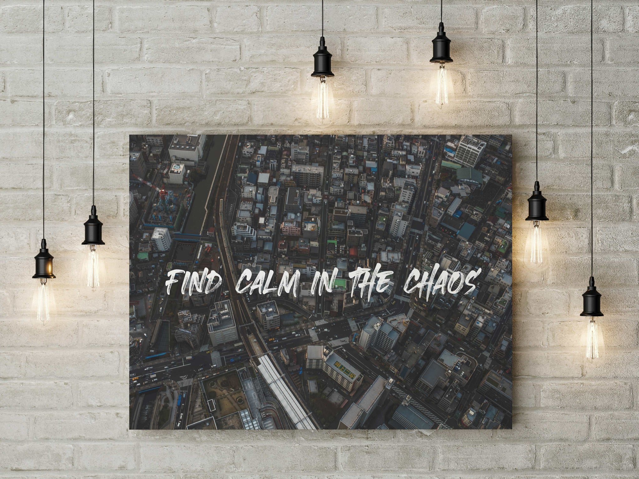 Find Calm in Chaos